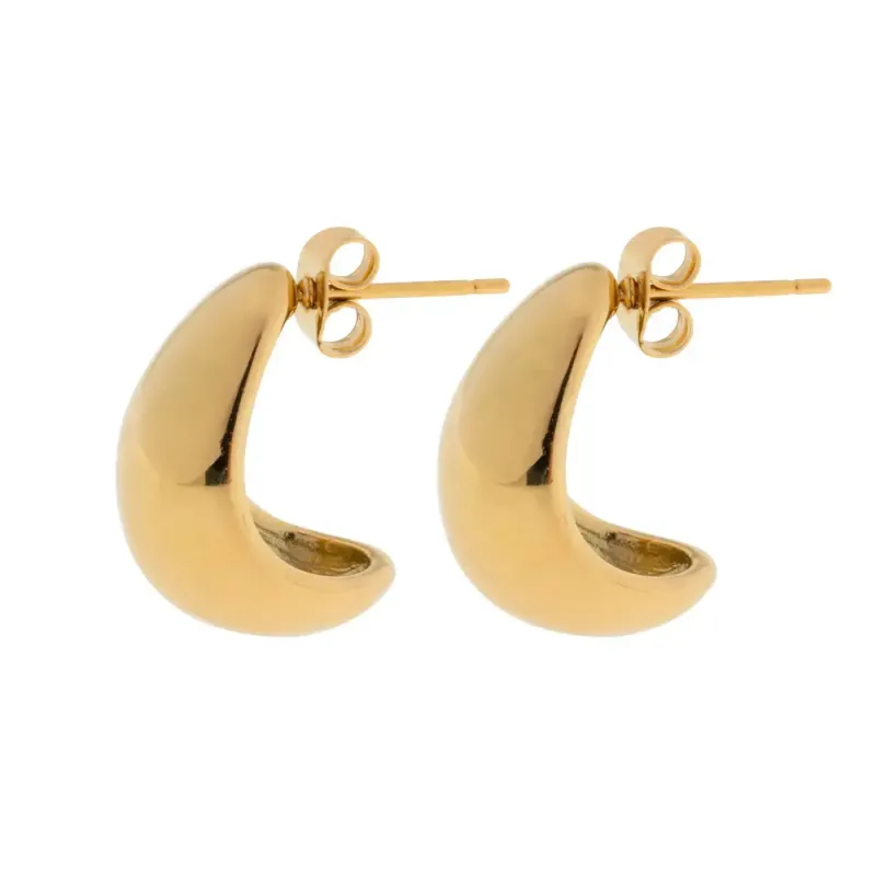 Beaux___Classic_Chunky_Stud_Earrings___________________
