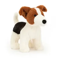 Albert_Jack_Russell