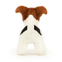 Albert_Jack_Russell_2