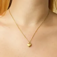 Bellamy___Heart_Necklace_Stainless_Steel________________1