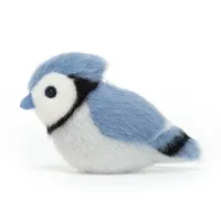 Birdling_Blue_Jay_1