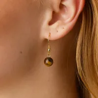Birgit___Tiger_Eye_Earrings_Stainless_Steel_____________1