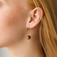 Birgit___Tiger_Eye_Earrings_Stainless_Steel_____________2