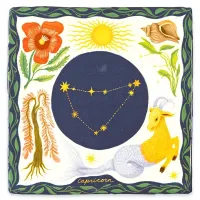 CAPRICORN___Sterrenbeeld_