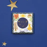 CAPRICORN___Sterrenbeeld__1
