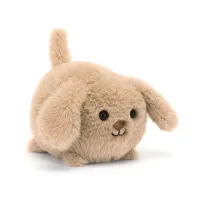 Caboodle_Puppy_1