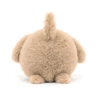 Caboodle_Puppy_2