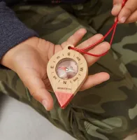 Compass_1