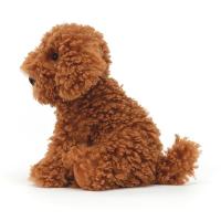Cooper_doodle_dog_1