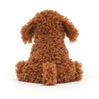Cooper_doodle_dog_2