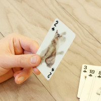 GG38_Cats_3D_playing_cards_1