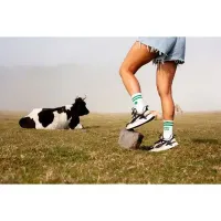 Lucky_socks_36_44_1