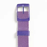 Purple_Flash_1