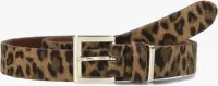 Skin_leopard_beige_black_belt