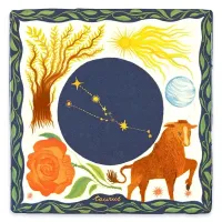 TAURUS___Sterrenbeeld_