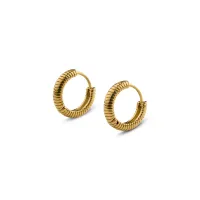 Vivia___Ribbed_Hoop_Earrings_Stainless_Steel___Gold____