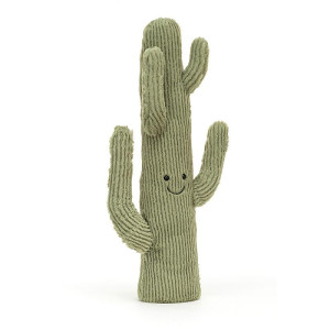 Amuseable_desert_cactus_