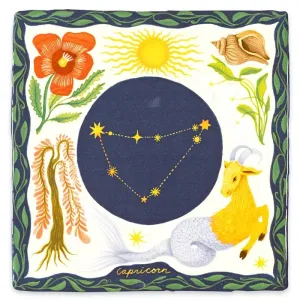 CAPRICORN___Sterrenbeeld_