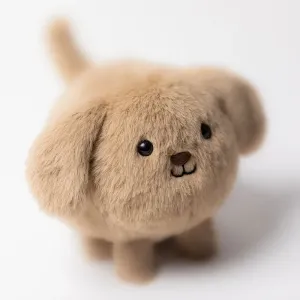 Caboodle_Puppy