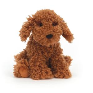 Cooper_doodle_dog