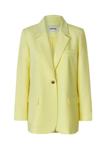 Gale_blazer