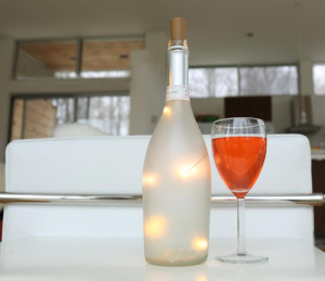 Kikkerland___Lampjes_voor_in_fles