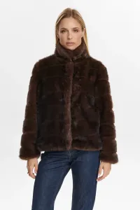 NUWINDALL_JACKET