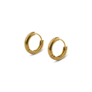 Vivia___Ribbed_Hoop_Earrings_Stainless_Steel___Gold____